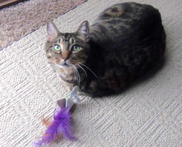 /Images/uploads/Humane Society of Utah/HSUCalendar/entries/1601thumb.jpg